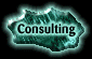 Consulting